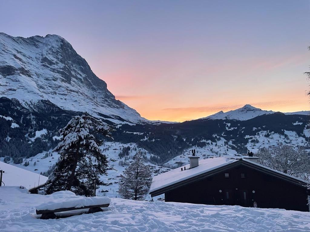 Eiger View Alpine Lodge Grindelwald Dış mekan fotoğraf