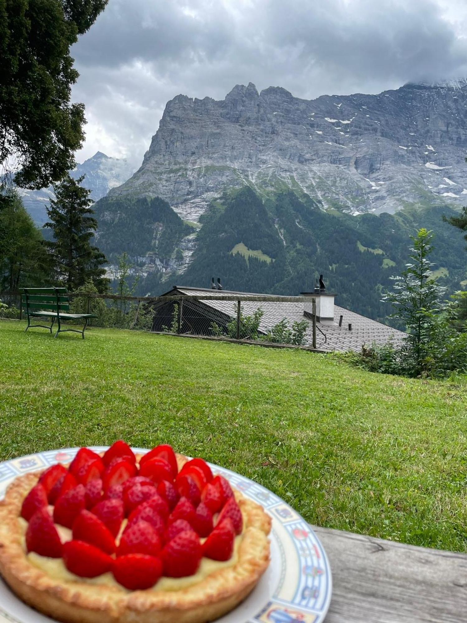 Eiger View Alpine Lodge Grindelwald Dış mekan fotoğraf